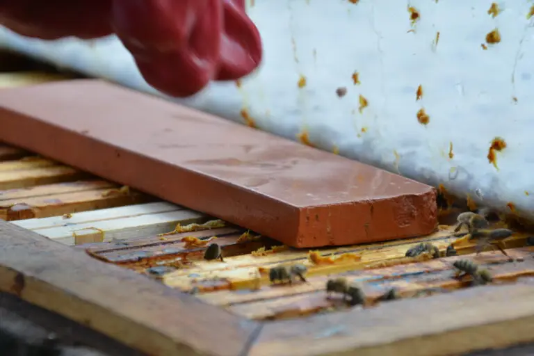 Zastosowanie specjalnie wytworzonych płytek ceramicznych jako dozowników do aplikacji kwasu mrówkowego w walce z varroa destructor.